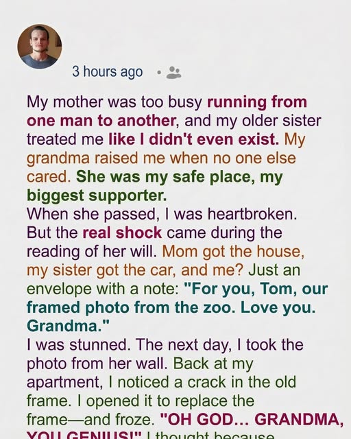 My Grandma Left Me Only a Photo While My Family Received Her Home and Car — Later I Understood the Wisdom in Her Gift