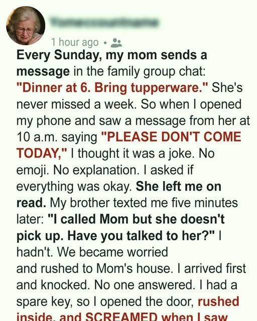 My Mom Texted: ‘Please Don’t Come Today.’ What We Found in Her House Left Us in Tears