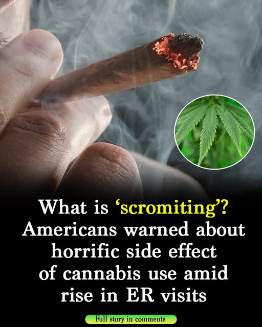 What is ‘scromiting’? US citizens warned about terrifying cannabis side effect