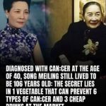 A legacy of health! Soong Mei-ling – longevity and fight against cancer!