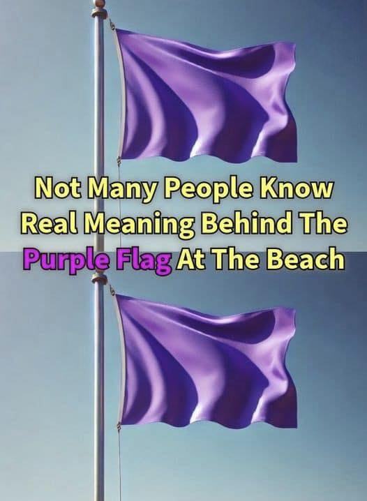 What a Purple Flag at the Beach Typically Means