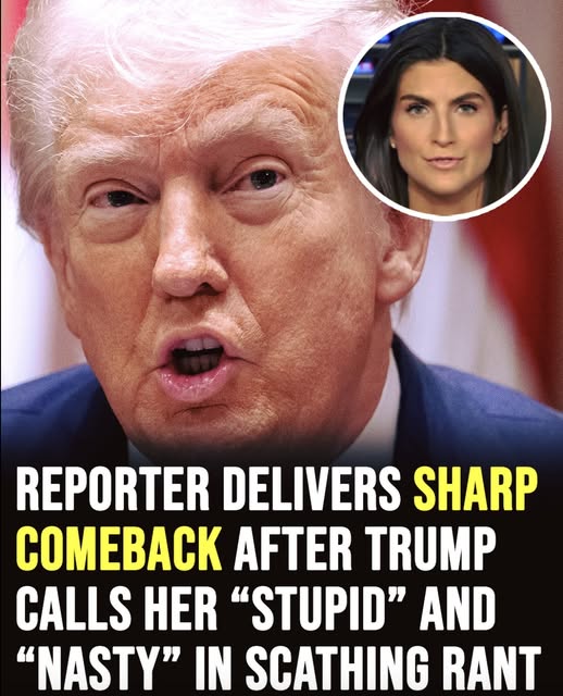 CNN reporter delivers sharp response after Trump brands her “stupid” and “nasty”