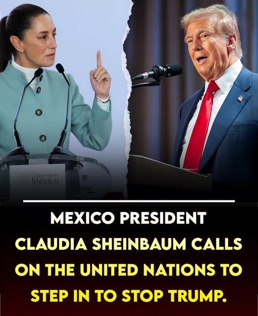 Mexican President Claudia Sheinbaum issue!