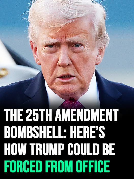 The 25th Amendment bombshell: Here’s how Trump could be forced from office