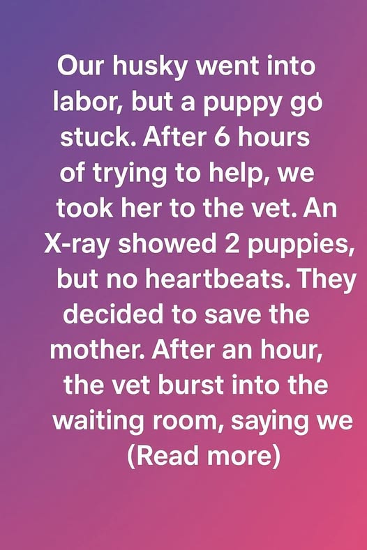 A Miracle Named Hope: How Our Husky and Her Puppy Beat the Odds