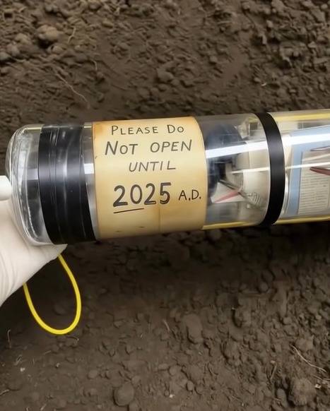 I Returned Home to Open the Time Capsule I Buried with My Childhood Friend 30 Years Ago — but the Rumors in Town Made Me Wonder If I Should – Story of the Day