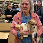 I Paid for a Struggling Grandma at the Grocery Store – Three Days Later, the Clerk Came to My Door with Her Final Request