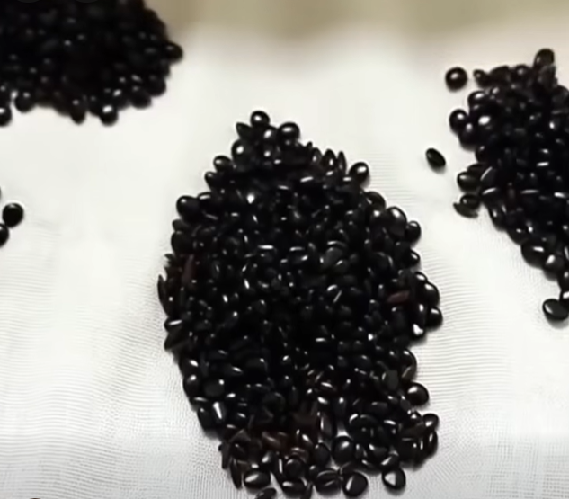 I Checked Under My Bed and Found Something Shocking